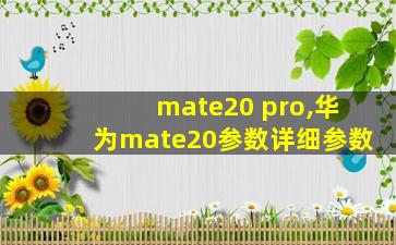 mate20 pro,华为mate20参数详细参数